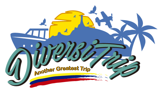 logo-diversitrip-sin-fondo