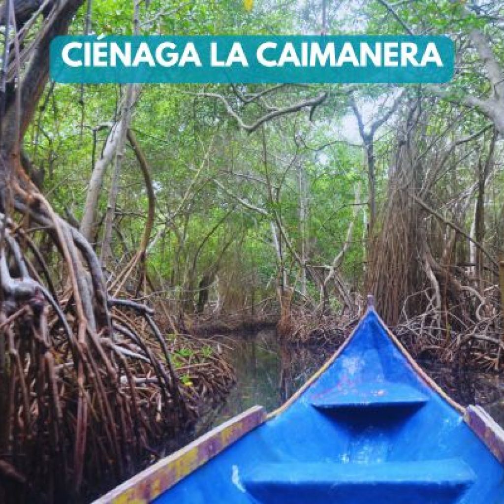 tolu-coveñas-cienaga-la-caimanera (1)