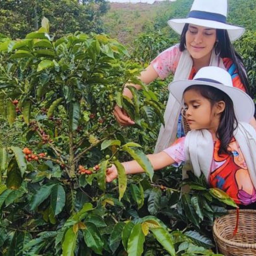 turismo-eje-cafetero-finca-cafetera
