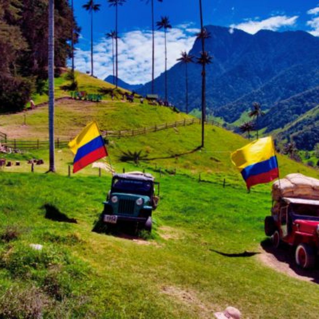 turismo-eje-cafetero-valle-del-cocora