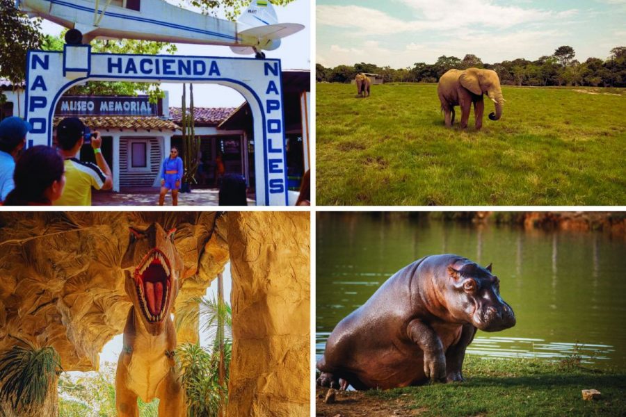 tour-hacienda-napoles-pasaporte-basico