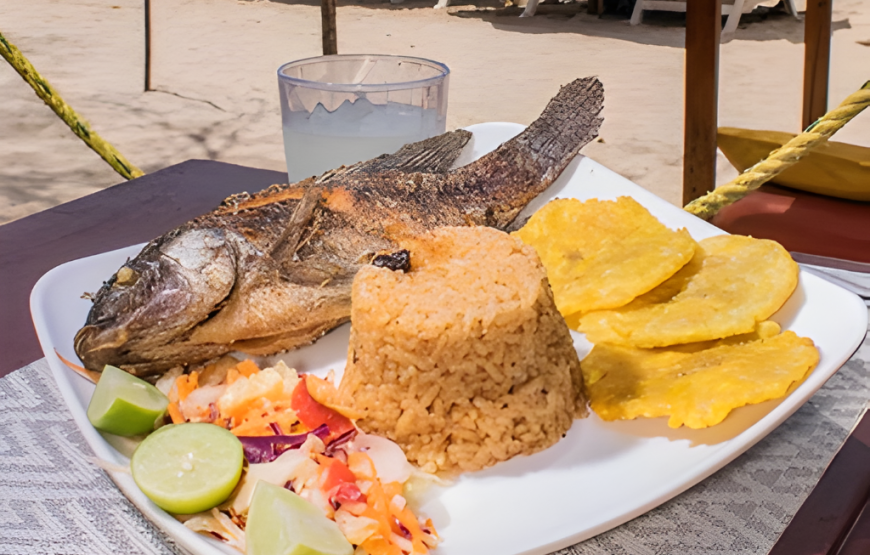 Tour 4 Destinos en Cartagena con Plancton Luminoso